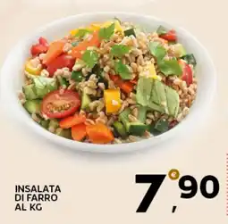 Extra Supermercati Insalata di farro offerta