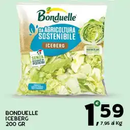 Extra Supermercati Bonduelle iceberg offerta