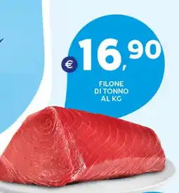 Extra Supermercati Filone di tonno offerta