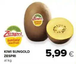 Oasi Kiwi sungold ZESPRI offerta