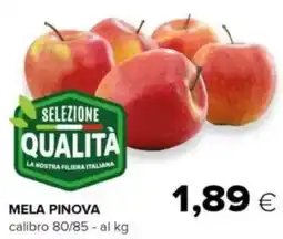 Oasi Mela pinova offerta