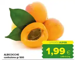 Oasi Albicocche offerta