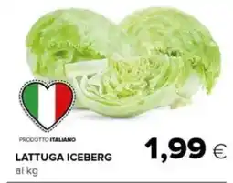 Oasi Lattuga iceberg offerta