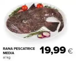 Oasi Rana pescatrice media offerta