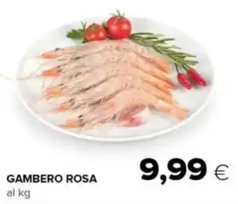 Oasi Gambero rosa offerta