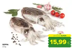 Oasi Seppia offerta