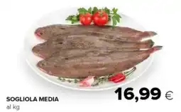 Oasi Sogliola media offerta