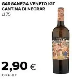Oasi Garganega veneto igt CANTINA DI NEGRAR offerta