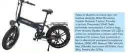 Oasi Fat bike 20 monroad t2 spark offerta