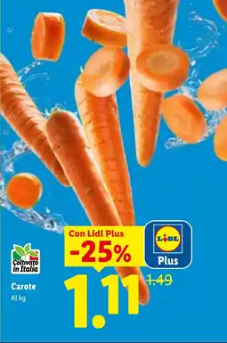 Lidl Carote offerta