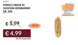 Prezzemolo e Vitale Fongo lingue di suocera rosmarino offerta