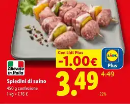Lidl Spiedini di suino offerta