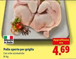 Lidl Pollo aperto per griglia offerta