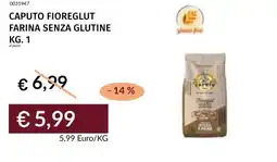 Prezzemolo e Vitale Caputo fioreglut farina senza glutine offerta