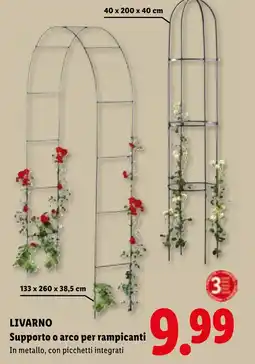 Lidl LIVARNO Supporto o arco per rampicanti offerta