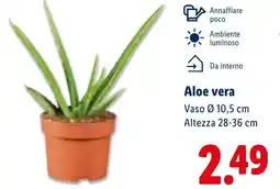 Lidl Aloe vera offerta