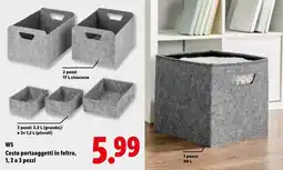 Lidl W5 Cesto portaoggetti in feltro offerta