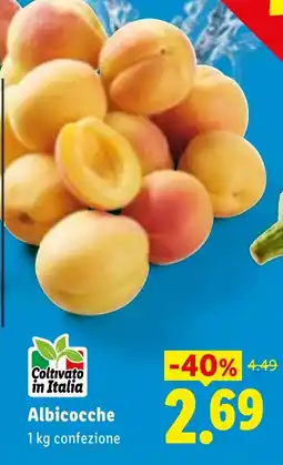 Lidl Albicocche offerta