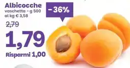 Prix Quality Albicocche offerta