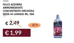 Prezzemolo e Vitale Felce azzurra ammorbidente concentrato orchidea nera offerta