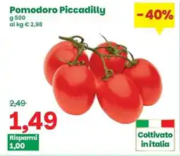 Prix Quality Pomodoro Piccadilly offerta