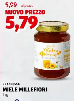 ALDI Grandessa miele millefiori offerta