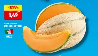ALDI I colori del sapore melone retato offerta