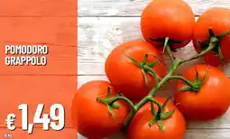 Galassia Pomodoro grappolo offerta
