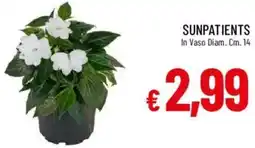 Galassia Sunpatients offerta