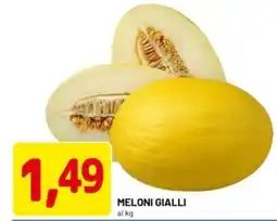 DPiù Meloni gialli offerta