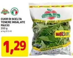 DPiù Cuor di scelta tenere insalate maxxi offerta