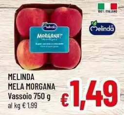 A&O Melinda mela morgana offerta