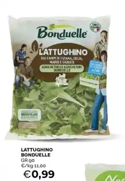 Mercatò Lattughino BONDUELLE offerta