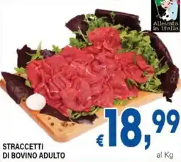 DEM Straccetti di bovino adulto offerta
