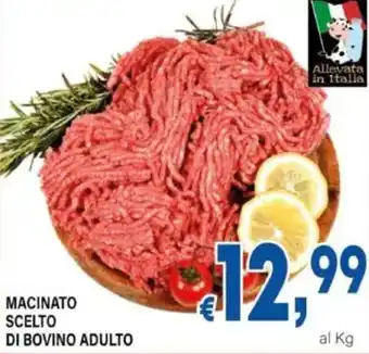 DEM Macinato scelto di bovino adulto offerta