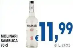 DEM Molinari sambuca offerta