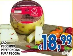 DEM Cao pecorino peperoncino pura pecora offerta