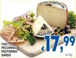DEM Cao pecorino pastorino sardo offerta