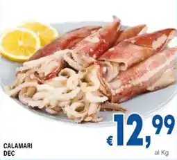 DEM Calamari dec offerta