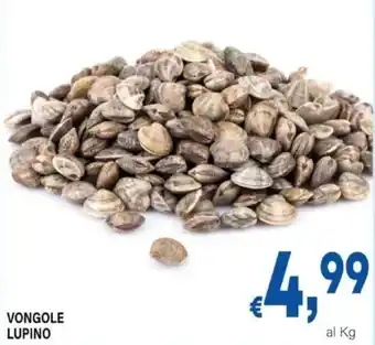 DEM Vongole lupino offerta