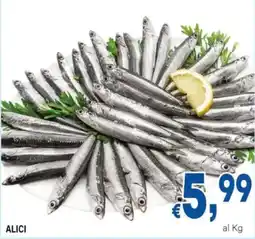 DEM Alici offerta