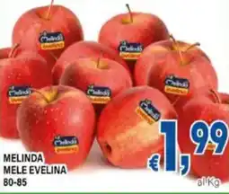 DEM Melinda mele evelina offerta