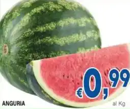 DEM Anguria offerta