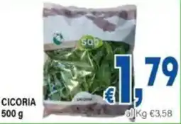 DEM Cicoria offerta