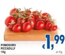 DEM Pomodoro piccadilly offerta