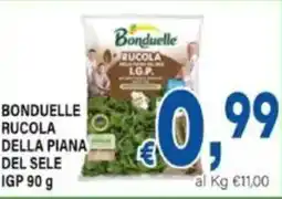 DEM Bonduelle rucola della piana del sele igp offerta