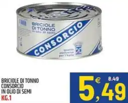 Ard Discount Briciole di tonno consorcio in olio di semi offerta