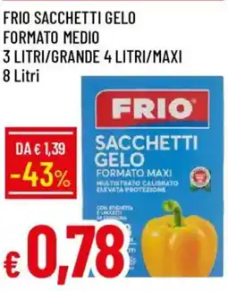 Galassia Frio sacchetti gelo formato medio offerta