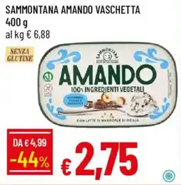 Galassia Sammontana amando vaschetta offerta