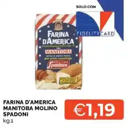 Mercatò Farina d'america manitoba MOLINO SPADONI offerta